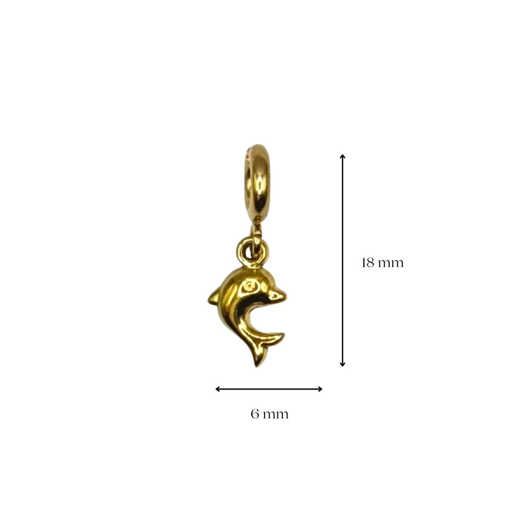 Dolfijn - charm