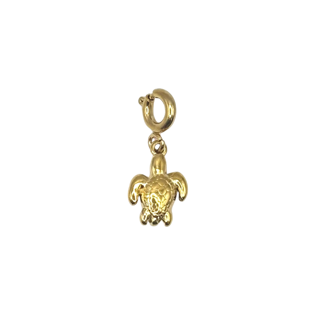 Schildpad - charm