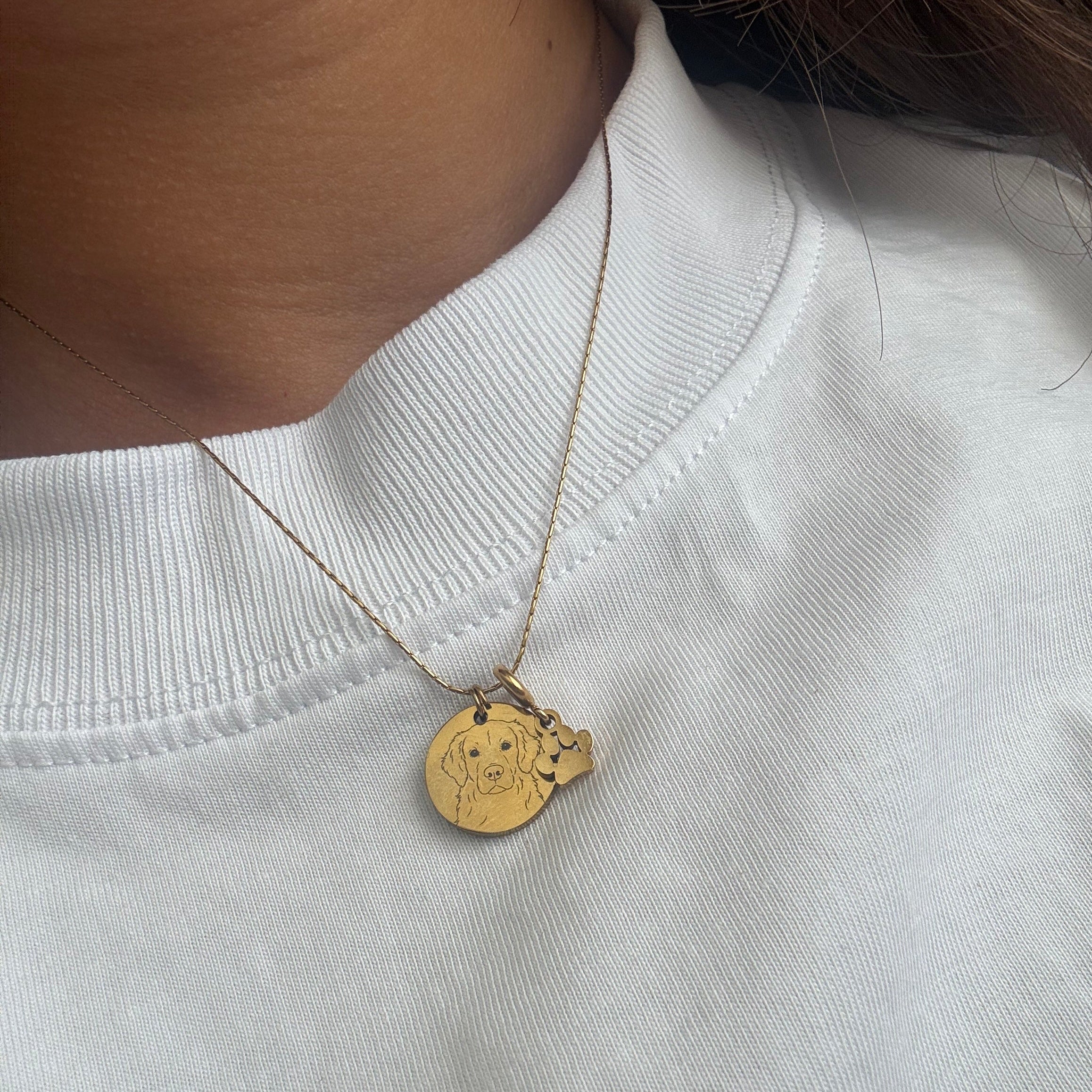 Ketting - Huisdier