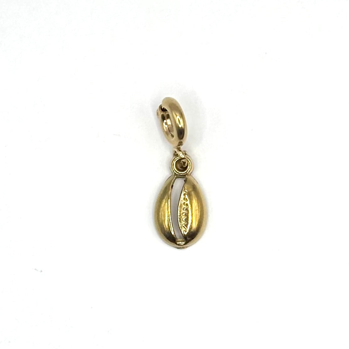 Schelp - charm