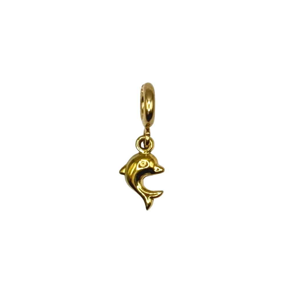 Dolfijn - charm