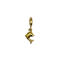 Dolfijn - charm
