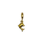 Dolfijn - charm
